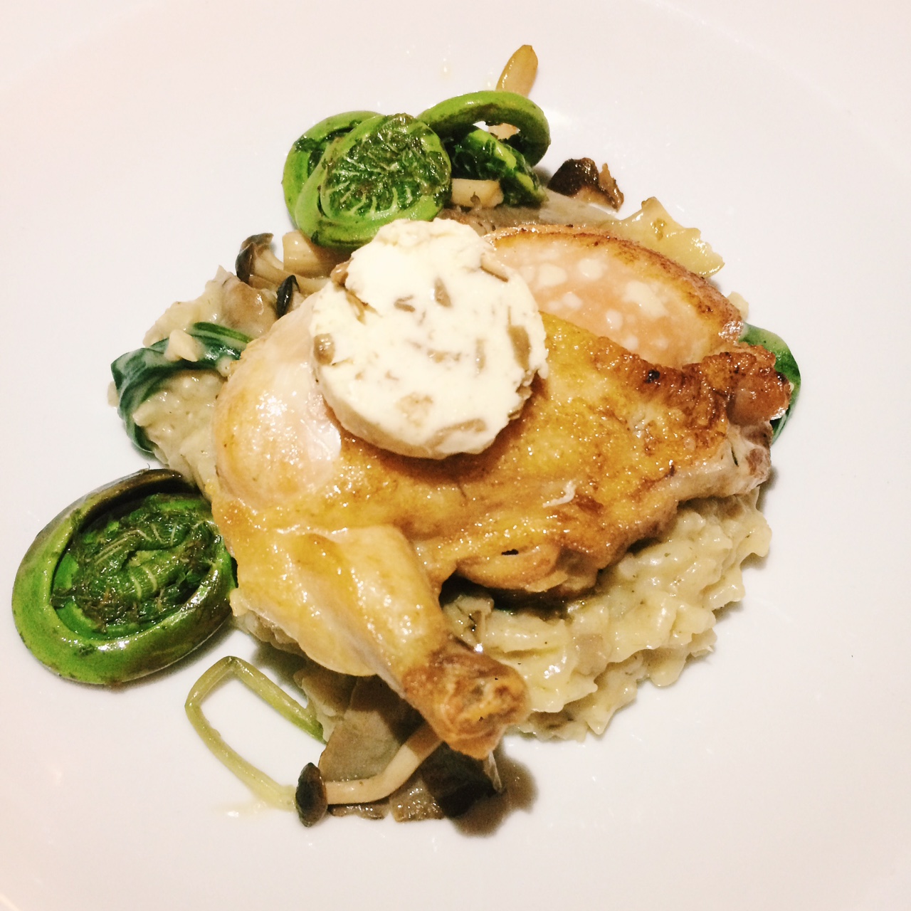 Chicken thigh and fiddleheads