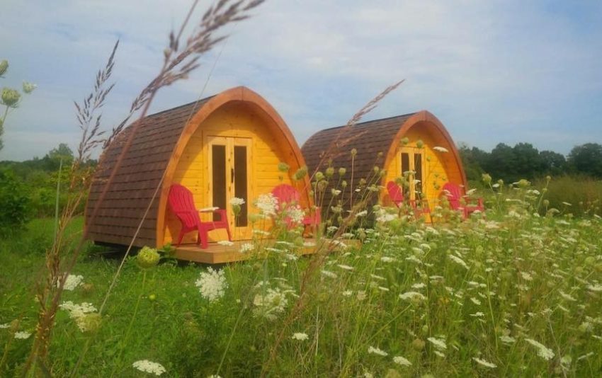 pod0-46fa43215056b3a_46fa48e1-5056-b3a8-4929452651404fb3