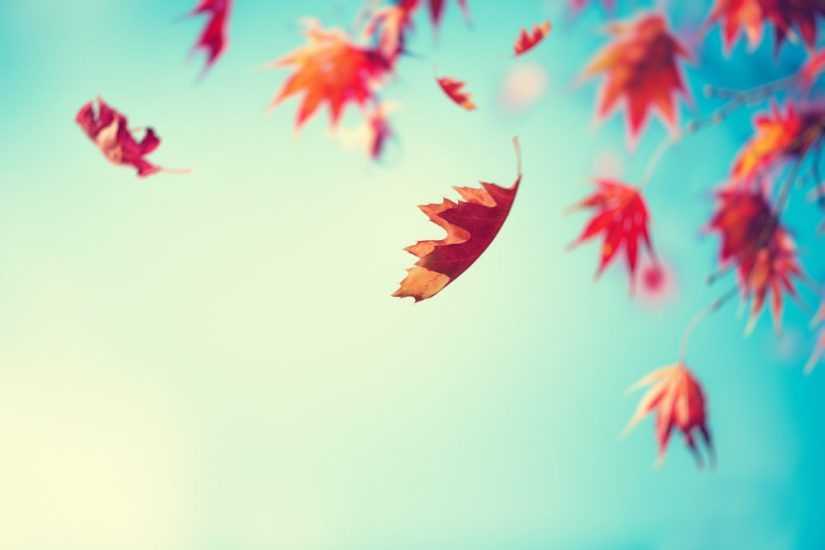 what-the-fall-equinox-means-for-your-sign-29secrets