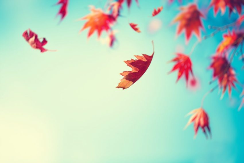 What The Fall Equinox Means For Your Sign 29Secrets