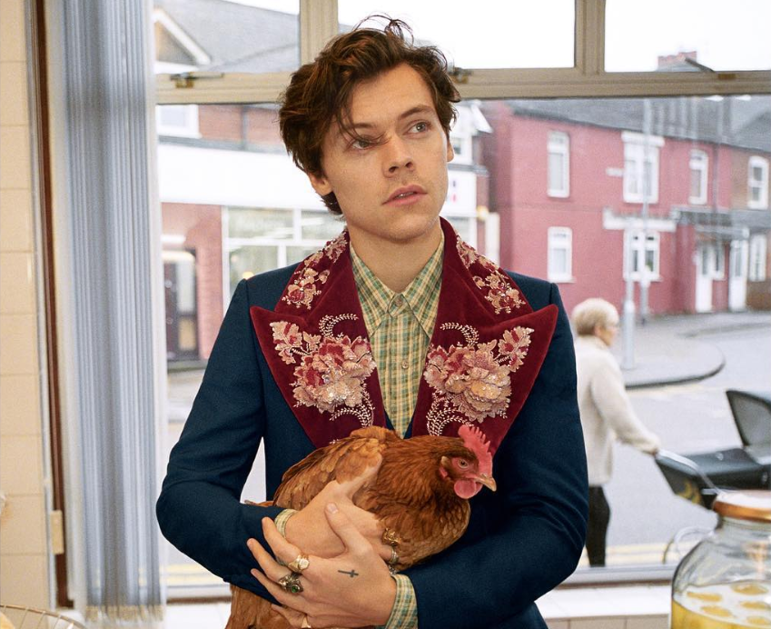 Harry Styles As The New Face Of Gucci Tailoring Campaign - 29Secrets