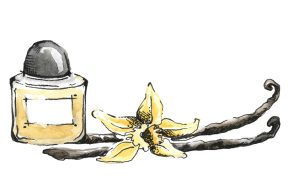 Vanilla Fragrances Are Spring’s Most Alluring Scents