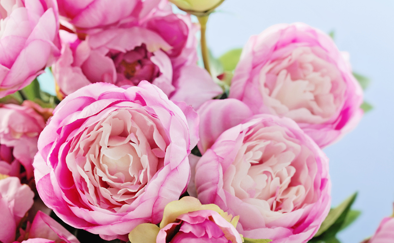 Here's What Different Flowers Mean On Mother’s Day: Peonies