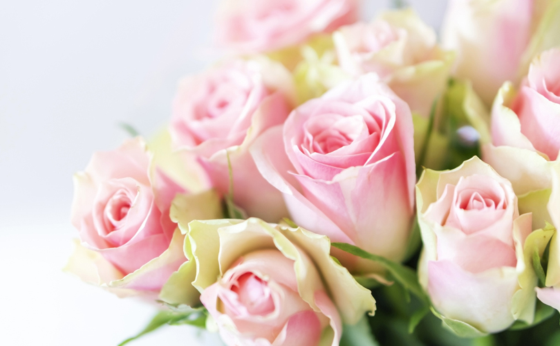 Here's What Different Flowers Mean On Mother’s Day: Pink roses