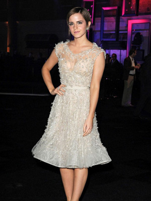 Emma Watson Lace Dress