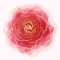 Rose Fragrances Are Timeless And Trending - HEADER